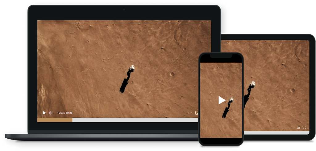 VideoPress, the finest video for WordPress